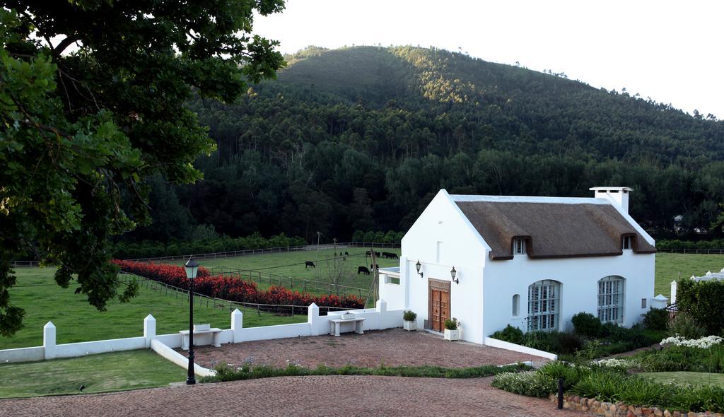 Grand Dedale Country House Wellington Eksteriør billede